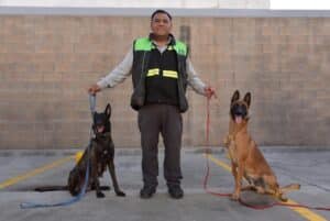 Seguridad Privada en Tijuana